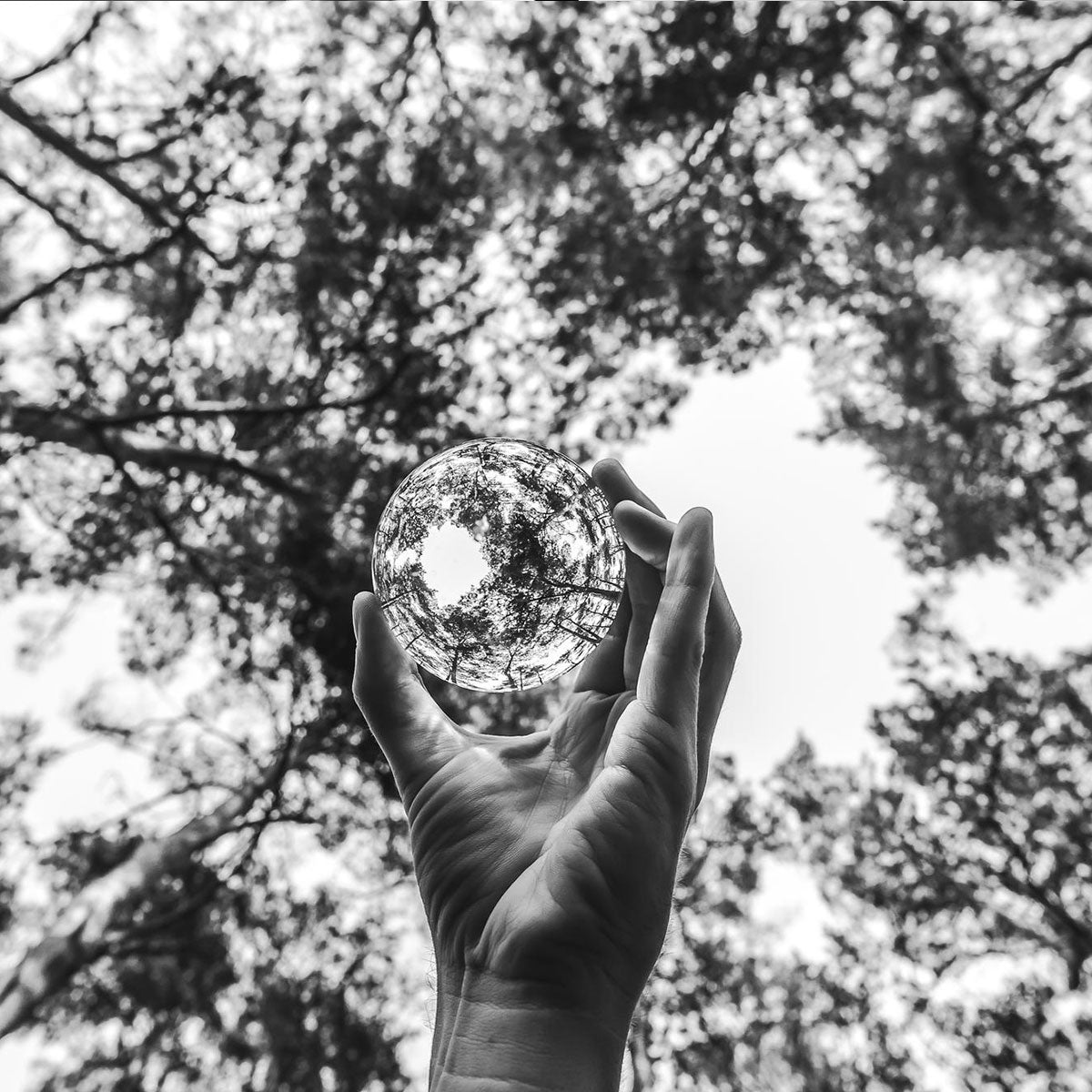 Engagement qualité VIXXA, femme sport dans un univers premium